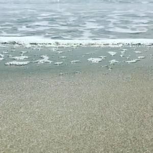 Meet your Posher, Stella